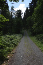 Wirtschaftsweg im Tal der Großen Oker