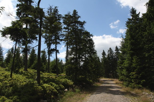 im Anstieg oberhalb der Philippbrücke
