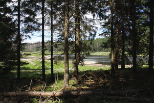 Blick vom Märchenweg auf den Zulaufbereich des Oderteichs