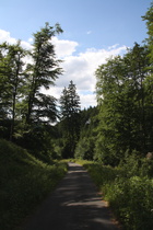 bergab im Kalbetal