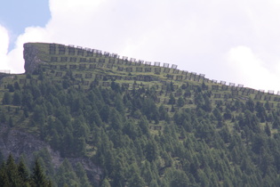 Lawinengitter oberhalb des Brennerpasses