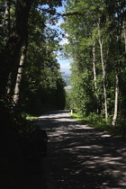 Nebenstraße zwischen Lieserhofen und Trebesing im Westhang oberhalb des Liesertals