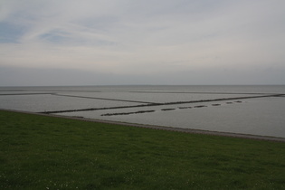 Ostfriesland (Hohes Riff)