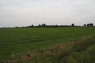 nördlichste Anzeichen von Wald im Harlinger Land