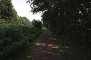 Radweg "Ammerlandweg" zwischen Bad Zwischenahn und Oldenburg