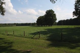 der Wold westlich von Oldenburg