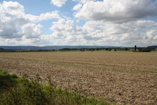 Deister, Nordostflanke, nördlicher Teil