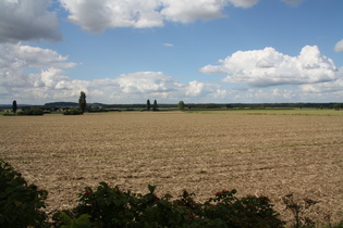 Stemmer Berg und Norddeutsche Tiefebene