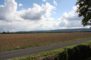 Deister, Nordostflanke, südlicher Teil