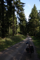 Deisterkammweg zwischen Annaturm und Laube, bei dem Anblick kommt Berggefühl auf