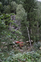 erstes Herbstlaub im Okertal
