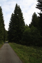 Forstweg im Kalbetal, ohne Stinkeverkehr!