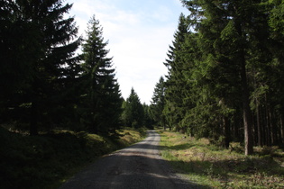 Schotterpiste zwischen B4 und Torfhaus, Blick nach Westen