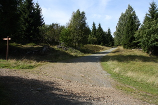 knapp unterhalb von Torfhaus