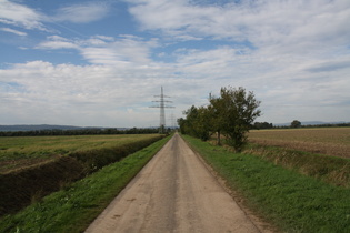 Schleichweg westlich von Salzderhelden