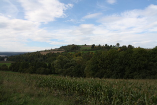 der Bierberg, Dassels "Hausberg"