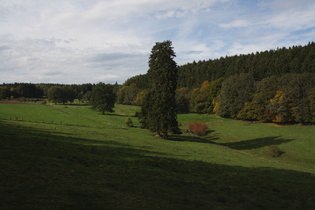 die Seutebornwiese mit der Bremke