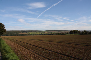 die Westflanke des Sollings bei Boffzen