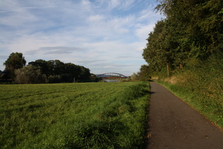 "Weserradweg (Variante)" zwischen Boffzen und Lüchtringen