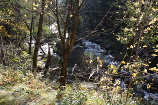 die Oker oberhalb des Ausgleichsbeckens der Okertalsperre