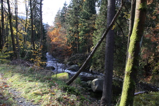 die Oker unterhalb von Romkerhalle