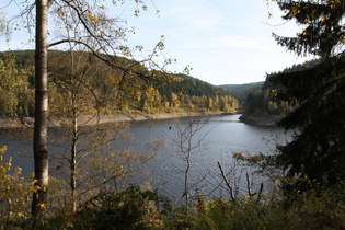 Okerstausee, Blick in einen Seitenarm