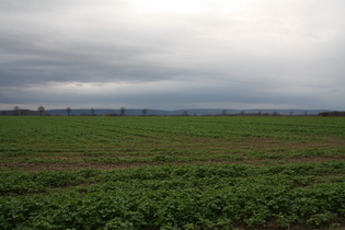 zwischen Lenthe und Northen, Blick Richtung Deister