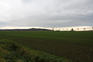 Northen und Benther Berg, Gipfelbereich