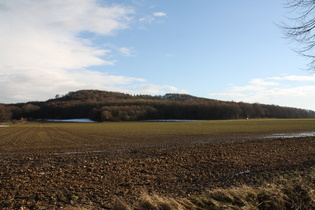 Benther Berg, Gipfelbereich