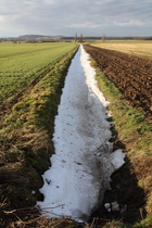 Winterreste im Schatten