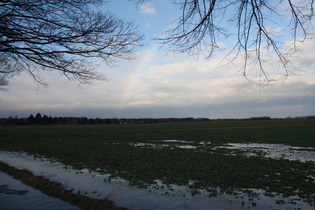 reichlich Wasser im Umlauf