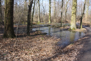 eine eiskalte Angelegenheit zwischen Velber und Lenthe