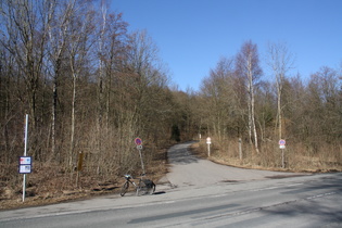 … und nach Norden in den öden Laubwald