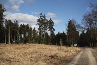 Kreuzung an der Laube, Beginn der steilen Abfahrt nach Springe