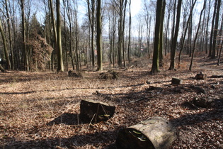 … dass man sich in einem richtigen Mittelgebirge befindet.