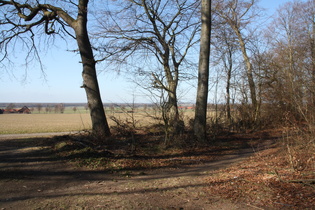 Doch dann kommt das grausig flache Elend wieder ins Blickfeld.