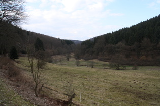 Rumohrtal, oberer Bereich, Blick nach Norden