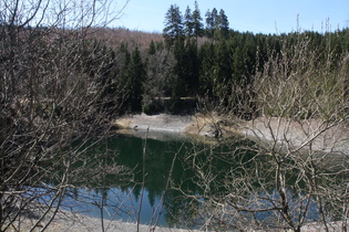 Okerstausee: Seitenarm östlich neben der Weißwasserbrücke