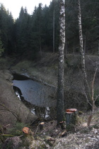 Okerstausee: extrem abgeschatteter Seitenarm mit Eisresten