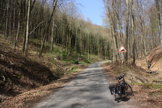 die Samke längs der Jägerallee