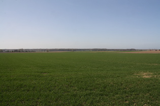 Blick auf das Große Holz