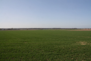 Blick auf das Große Holz