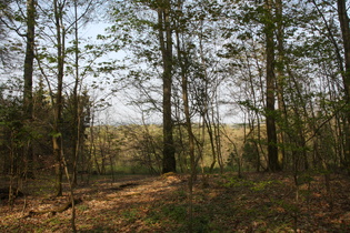 Blick vom Gipfel nach Norden