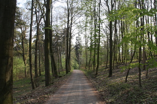 Abfahrt vom Gipfel auf der Südrampe