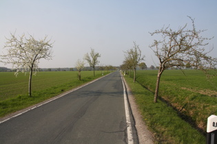 flach, profillos, langweilig — nördlich von Ditterke, Blick nach Norden, im Hintergrund das Große Holz