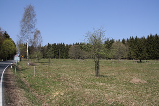 südlich unterhalb der Abzweigung nach Braunlage