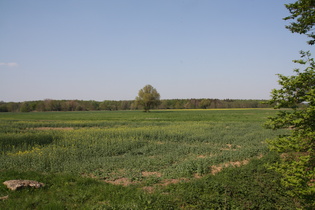 ein flacher Alptraum