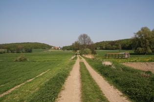 zwischen Düdinghausen und Bergkirchen, Blick nach Osten