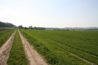 zwischen Düdinghausen und Bergkirchen, Blick nach Westen