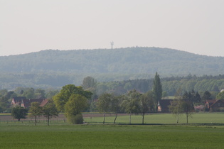 Zoom auf den Brunnenberg, höchste Erhebung in den Rehburger Bergen